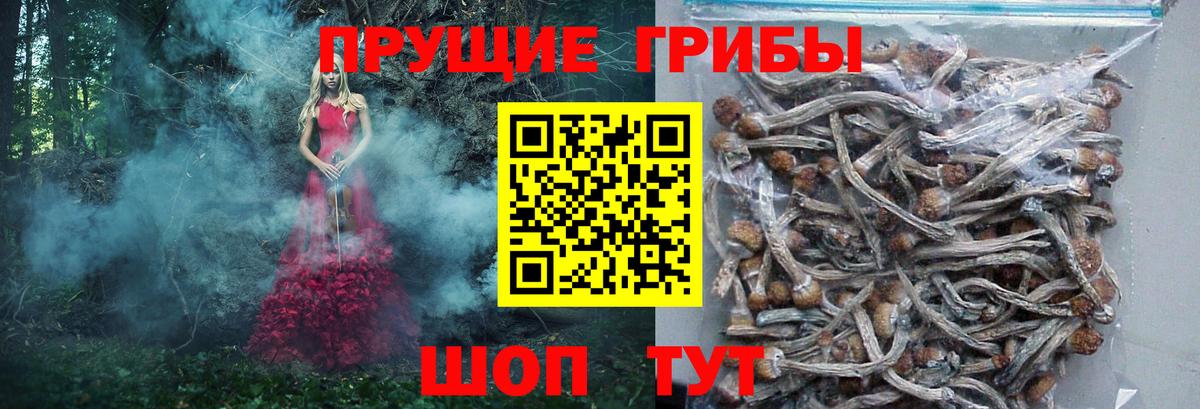 Псилоцибиновые грибы Psilocybine cubensis  Вход с VPN  Кинель  Галлюциногенные грибы MAGIC MUSHROOMS 