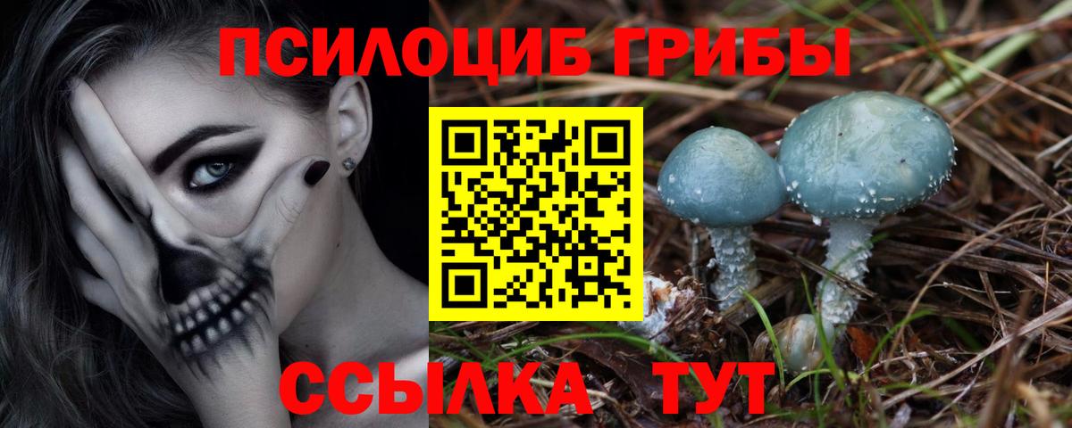 Галлюциногенные грибы мицелий Кинель